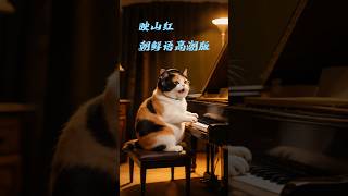 azalea korean Climax Version cat