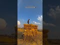 #farming #life #video #viral #like @joshuaandricojanganlupalik2119