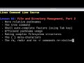 Linux File and Directory Management - Efficiency and Best Practices