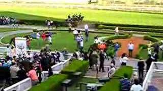Hipodromo de San Isidro