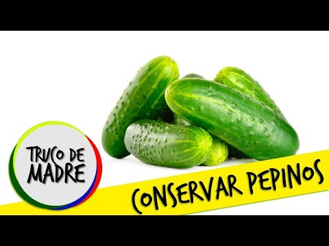 Video: ¿Cuánto duran los pepinos? Consejos para conservar los pepinos