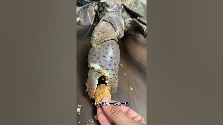 被螃蟹夹一下有多疼！ #螃蟹🦀 #神奇的螃蟹