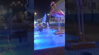 Como llegamos aqui?