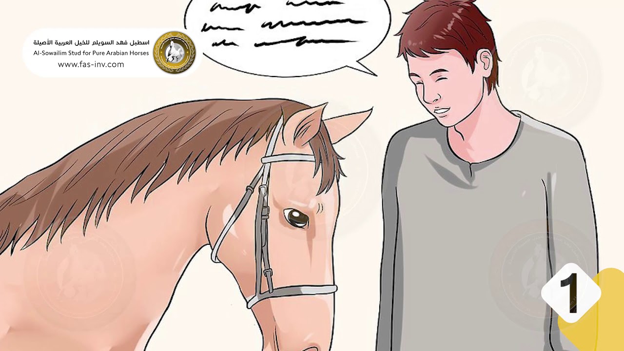 كيف تسيطر على حصان هائج أو مذعور