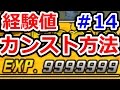 ドラクエジョーカー3　究極のレベル上げ、一戦で経験値カンスト！ DQMJ3攻略実況プレイその14（続編のDQMJ3P、ドラゴンクエストモンスターズジョーカー3プロフェッショナル始めました！）