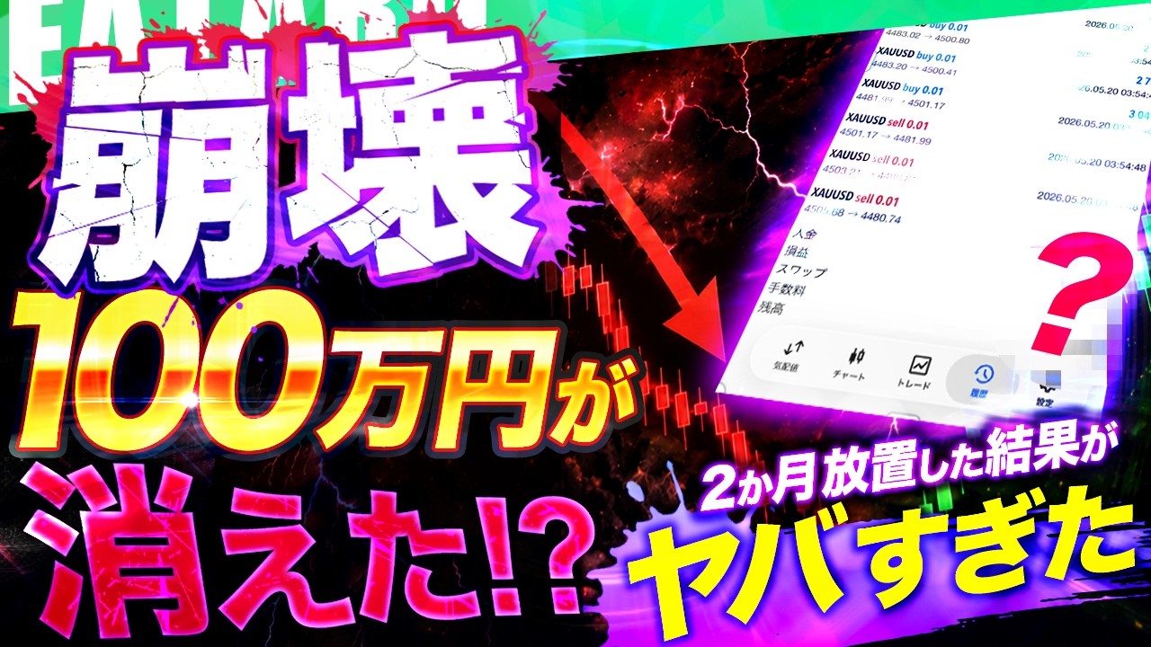 【FX】損切り貧乏で崩壊したツールに2ヶ月100万を突っ込んでみた結果がヤバすぎた!【 初心者 おすすめ 自動売買 】