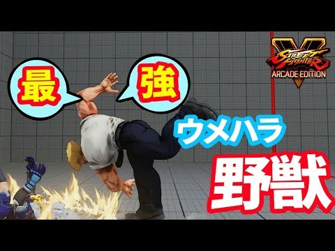 スト5AE 獣道の帝王 揺るぎない強さがランクマを圧倒 ウメハラ (ガイル)