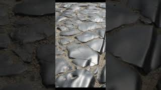 All Roads Lead To Roam