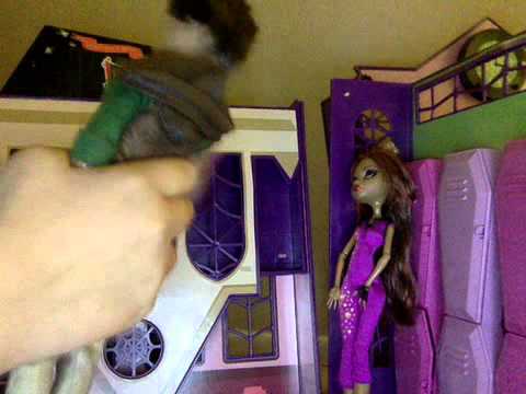 clawdeen and hunter
