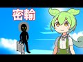 【VOICEVOX解説】ずんだもんと学ぶ「薬⚪︎の密輸」【ゆっくり解説】密輸