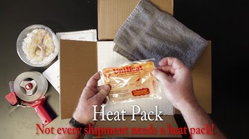 How-To Ship Your Reptiles!