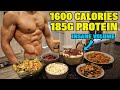 Full Day of Eating 1600 Calories *Insane Volume* | Super High Protein Diet For Fat Loss...