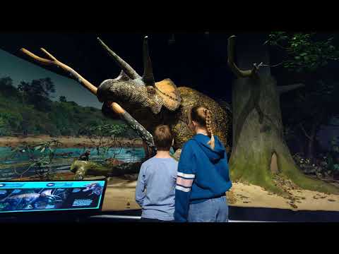 Смерть динозаврів: вижити після астероїда, який закінчив цілу епоху