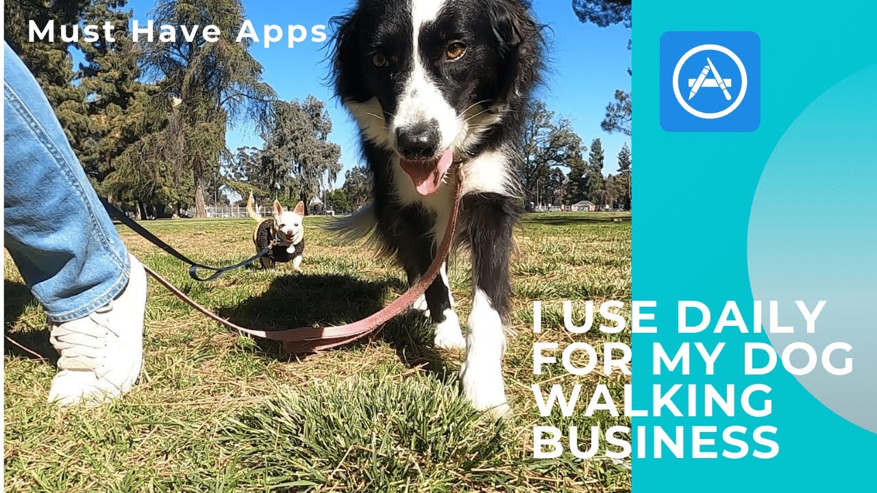 Must Have Apps for a Dog Walking Small Business or Side Hustle