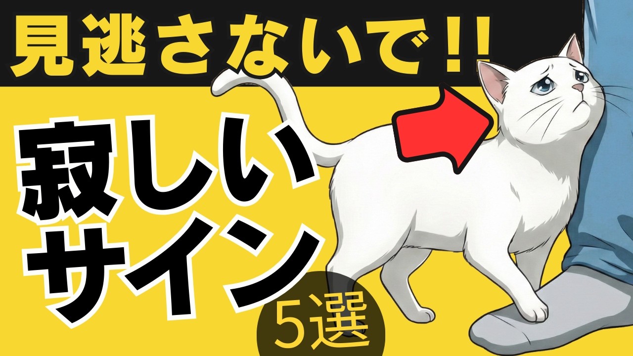 【見逃さないで!!】猫が寂しいときに見せるサイン5選｜猫の厳選雑学