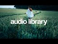 Feel Good - MusicbyAden [Vlog No Copyright Music]