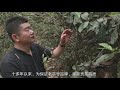 龍馬同慶號介紹