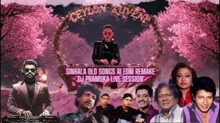 Sinhala OLD songs AI EDM Remake - DJ Pramuka live Session