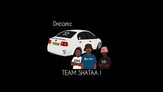 TEAM SHATAA!-Project Dreams