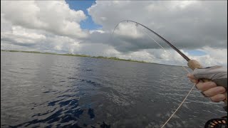 HUGE BROWN TROUT!! FLY FISHING For WILD BROWN TROUT On LOUGH CORRIB!!