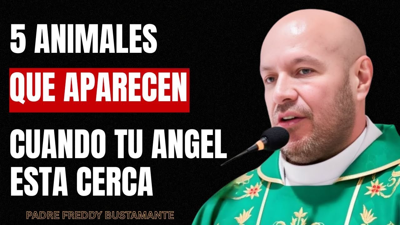5 Animales Que Aparecen Cuando Tu Ángel Guardián Está Cerca | Padre Freddy