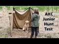WHAT IS an AKC JUNIOR HUNT TEST? ~ Learn what to expect and prepare for. ~The Retriever Nation