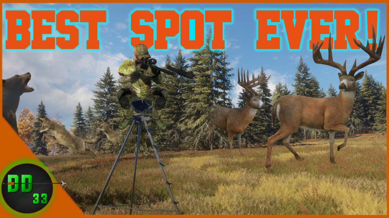 I Found An Incredible Spot For WHITETAIL DEER DRIVES! Call Of The Wild