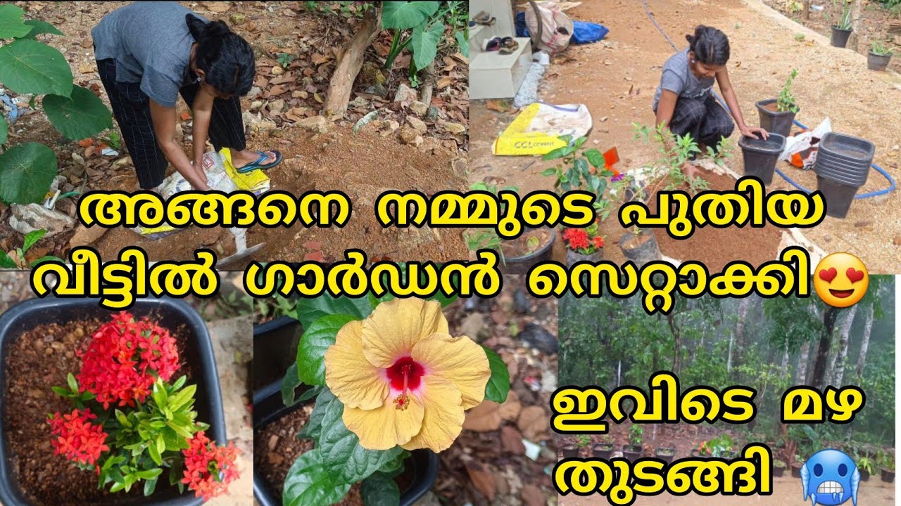 New Home Garden Setting🌻/മഴ വിശേഷങ്ങൾ/Garden Tour/Variety Flowering