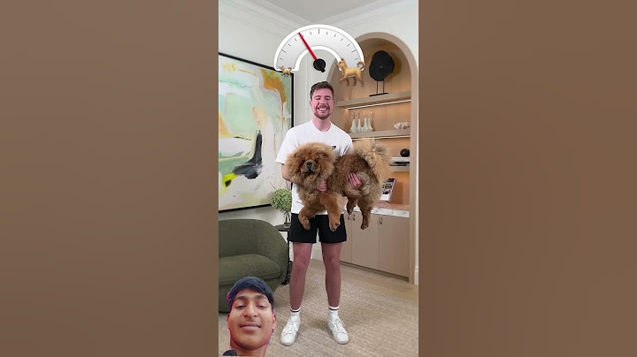 Holding Bigger And bigger Dogs