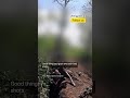Unexpected Friendly Fire #warinukraine