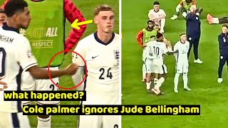 Cole Palmer ignores Jude Bellingham after Euro 2024 Final Spain Vs England