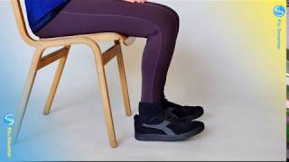 TOE RAISE - SEATED, BILATERAL- from Fit-Smarter.com: physical therapy exercises