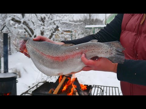 Видео: Как да готвя риба под червена марината