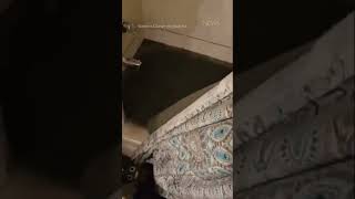 Celebrity TOILET OVERFLOWS & FLOODS APARTMENT IN OTTAWA #shortvideo #shorts #toilet #wtf #crazy #water #flood Net Worth