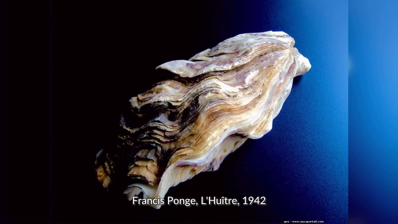 Francis Ponge, L'Huître, 1942 - YouTube