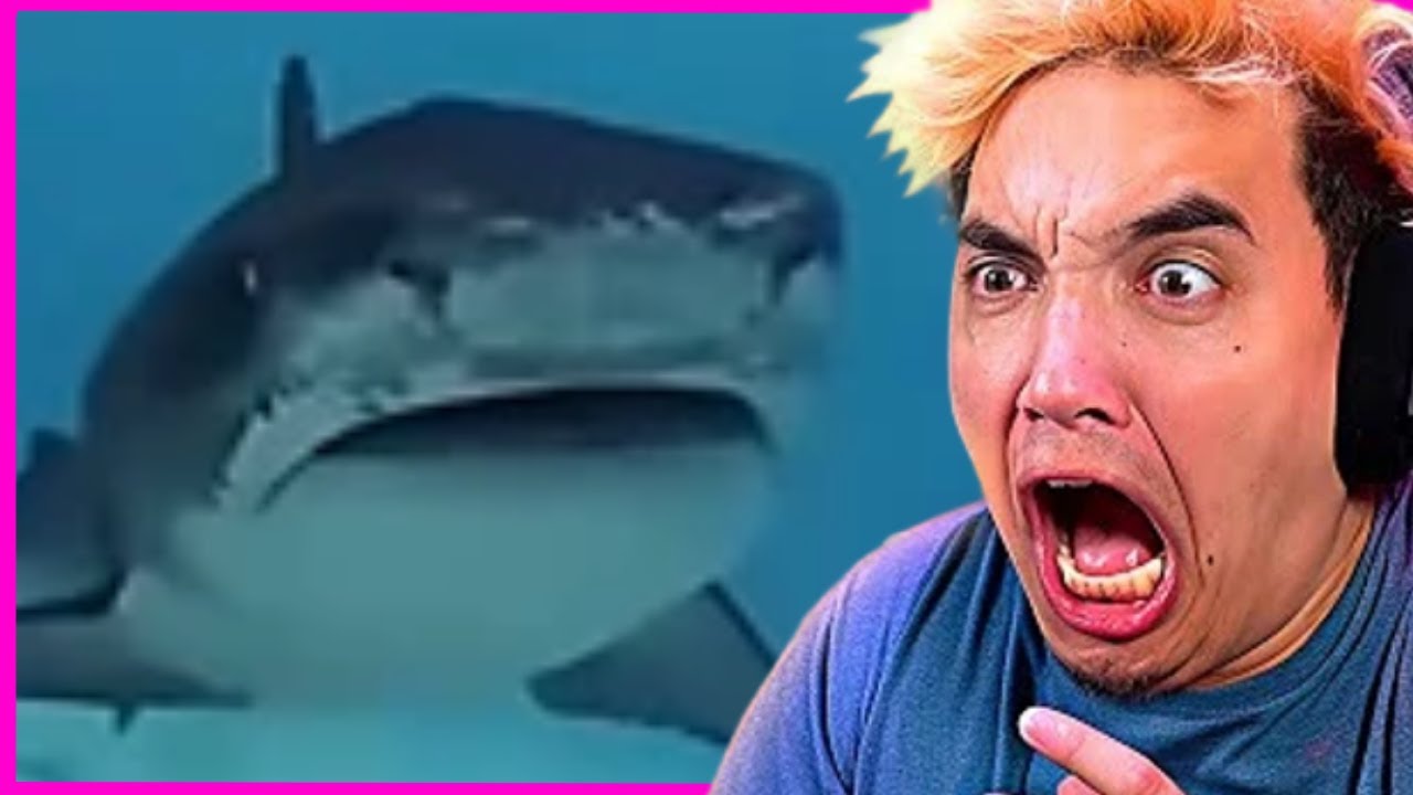 25 CURIOSIDADES PARA SOBREVIVIR 😵