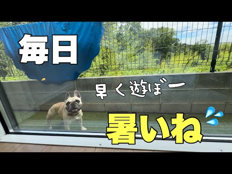 【1日密着】暑くてたまらん1日、6兄弟はどうしてる⁈