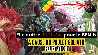 POUR le poulet GOLIATH, Elle quitte la REPUBLIQUE DU CONGO pour LE BENIN (élevage du poulet Afrique)