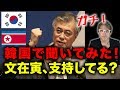 韓国の文在寅大統領ほんとに支持されてるか韓国行って聞いてみた！