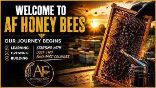 Alia Fraser Honey Bees Our Journey Begins… Join The Hive!