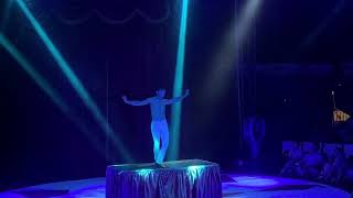 Contortion show on April 20, 2026 (Le Petit Cirque Brasil)