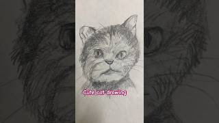 Cute cat #fypシ #art #drawing #nature #cat #animals #viral #shorts