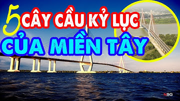 5 cây cầu ở Miền Tây đạt kỷ lục ở Việt Nam