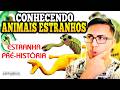 REAGINDO A Animais Pre-Históricos Estranhos (e Fósseis Vivos)