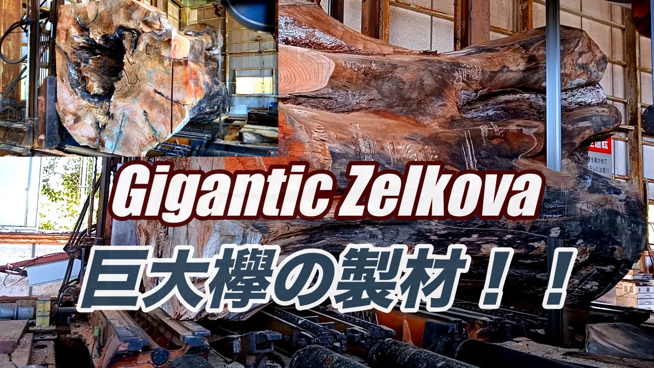 巨大欅の製材動画です。GIGANTIC ZELKOVA - YouTube