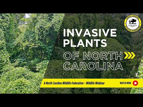 Video: Ano ang ilang invasive species sa North Carolina?