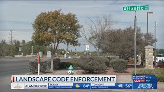 Code Enforcement talks shrubbery concerns along City’s roadways
