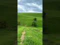 مقطع صغير لتشجيع السياحة في الاردن ربيع اربد  