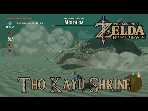 Video: Zelda - Tho Kayu In Kako Premagati Moldugo V Dihu Divjega