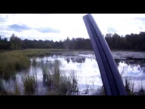 Охота на уток видео Охота на уток видео